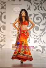 Model walks the ramp for Archana Kocchar at Aamby Valley India Bridal Week day 5 on 2nd Nov 2010 (50).JPG